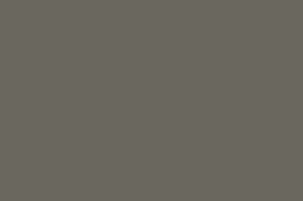 Vizon [+$1.00]